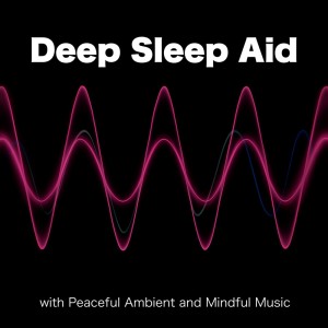 收聽Binaural Beats for Deep Sleep的心を癒すピアノ 睡眠のためのヒーリングミュージック 快眠音楽でメンタル向上疲労回復 (睡眠と集中のためのバイノーラルビート)歌詞歌曲