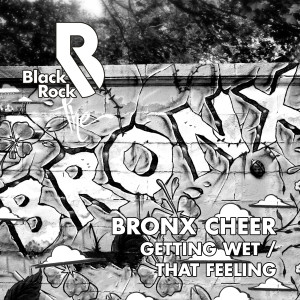 Album Getting Wet / That Feeling from Bronx Cheer