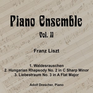 收聽Adolf Drescher的2 Etudes de Concert, S. 145: No. 1, Waldesrauschen歌詞歌曲