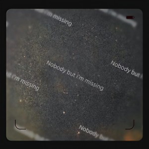 Listen to Nobody but I'm missing song with lyrics from 刘烁七