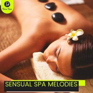 Various的专辑Sensual Spa Melodies