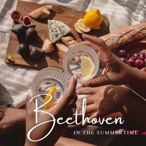 The St Petra Russian Symphony Orchestra的專輯Beethoven in the Summertime