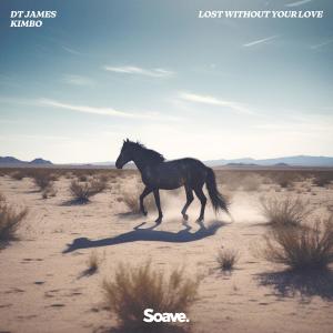 Dengarkan lagu Lost Without Your Love nyanyian DT James dengan lirik