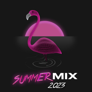 อัลบัม Summer Mix 2023 (Explicit) ศิลปิน Various