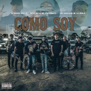 HERNAN TREJO的專輯Como Soy (feat. Los Chavalos De La Perla & HERNAN TREJO)