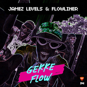 收听Jamez Levels的Gekke Flow (Explicit)歌词歌曲
