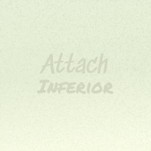 Various Artists的專輯Attach Inferior