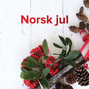 Dengarkan No som jula ringast inn lagu dari Stine Hole Ulla dengan lirik