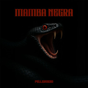 Album Mamba Negra (Explicit) from 