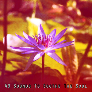 49 Sounds To Soothe The Soul
