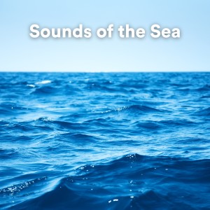 Album Sounds of the Sea from Ocean in HD