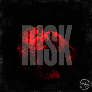 Listen to Risk (Explicit) song with lyrics from 2Oppy