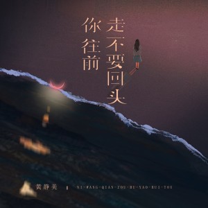 Listen to 你总要学会往前走 (DJEva版) song with lyrics from 黄静美