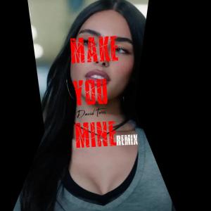 收聽David Teres的Make You Mine (feat. Lena Marie) (Slap House Remix)歌詞歌曲