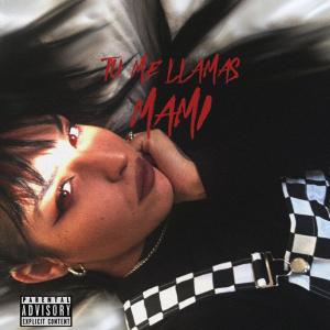 Listen to Tu Me Llamas Mami (Explicit) song with lyrics from Kenya Racaile