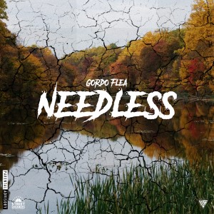 ดาวน์โหลดและฟังเพลง Needless (Explicit) พร้อมเนื้อเพลงจาก Gordo Flea