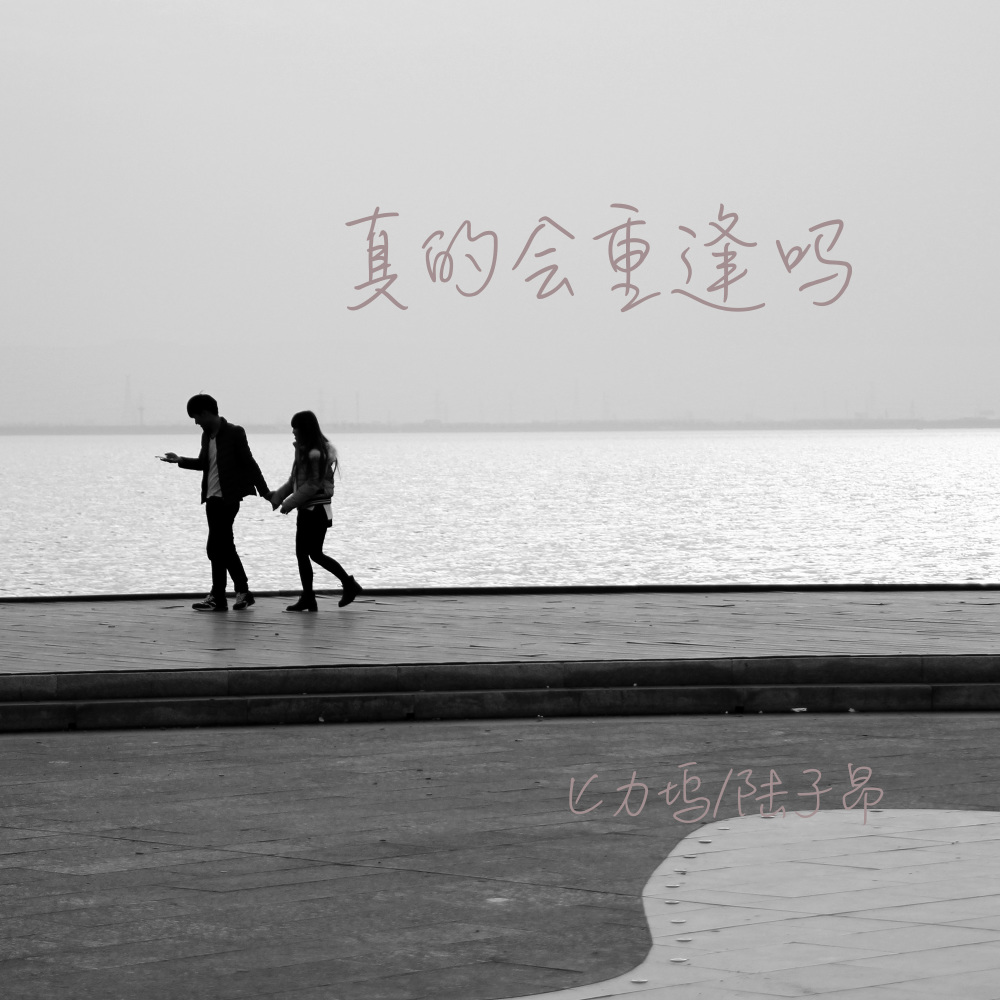 真的会重逢吗 (伴奏)