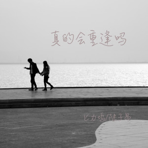 Dengarkan 真的会重逢吗 (伴奏) lagu dari 匕力坞 dengan lirik