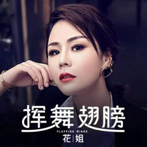 收聽花姐的揮舞翅膀 (dj remix1)歌詞歌曲