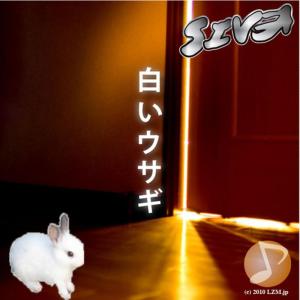 ดาวน์โหลดและฟังเพลง White Rabbit พร้อมเนื้อเพลงจาก Siva