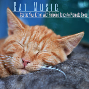Dengarkan lagu Natures Song nyanyian Cat Music Dreams dengan lirik