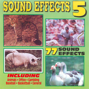 ดาวน์โหลดและฟังเพลง Horse Whinnies พร้อมเนื้อเพลงจาก SFX Connection