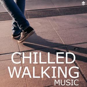 Sterkøl的专辑Chilled Walking Music