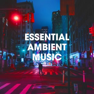 Ambient Music Therapy (Deep Sleep的專輯Essential Ambient Music