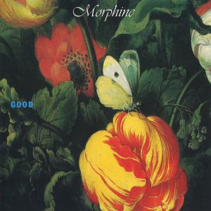 ดาวน์โหลดและฟังเพลง The Other Side พร้อมเนื้อเพลงจาก Morphine