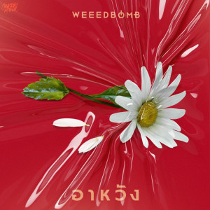 ดาวน์โหลดและฟังเพลง อาหวัง Feat.RubyTan พร้อมเนื้อเพลงจาก WEEED BOMB