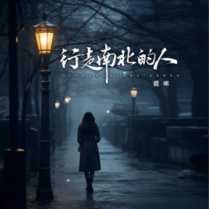 Album 行走南北的人 from 
