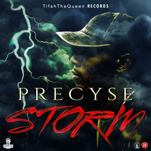 Precyse的专辑Storm