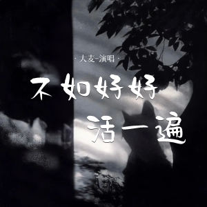 Listen to 不如好好活一遍 (DJ默涵版) song with lyrics from 大麦