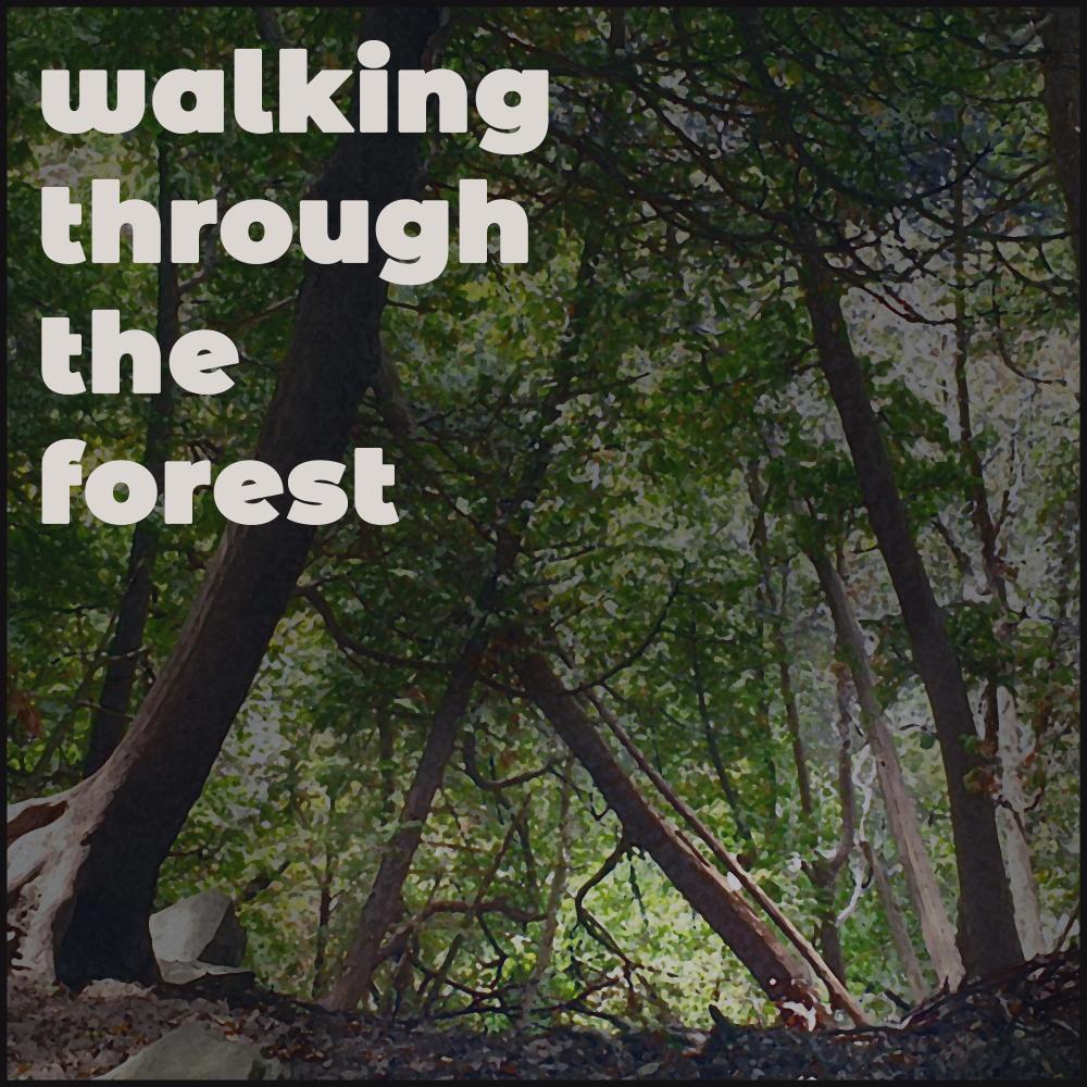 Walking Through the Forest