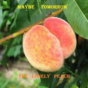 Album The Lonely Peach from Maybe tomorrow