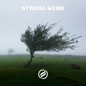 Listen to Strong Wind song with lyrics from inTENsity