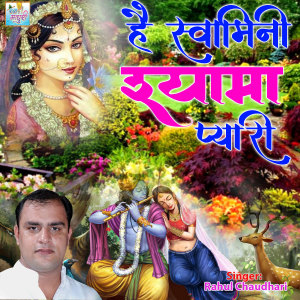 收聽Rahul Chaudhari的Tere Dar Utte歌詞歌曲