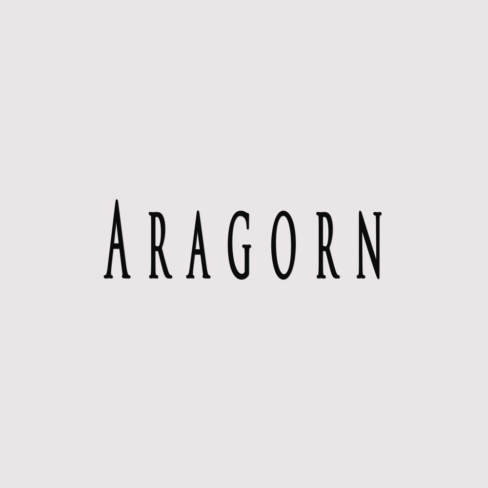 Aragorn (feat. Pendo46)