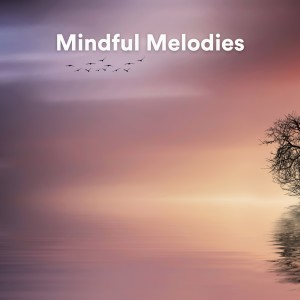 Calm Vibes的专辑Mindful Melodies