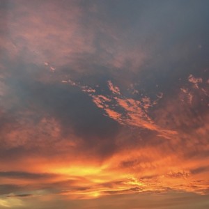 Album Maasai (Doctor Flake Remix) from 