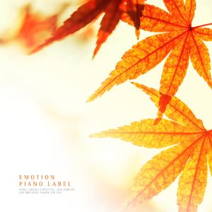 Album The Sound Of Nature And The New Age Piano With Peaceful Mind (Nature Ver.) from Various Artists