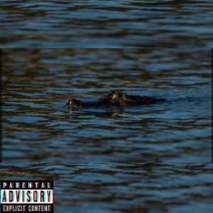 Mr Wanted的專輯ALIGATOR (Explicit)