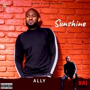 ดาวน์โหลดและฟังเพลง Sunshine (Explicit) พร้อมเนื้อเพลงจาก Ally