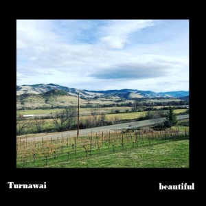 Turnawai的專輯Beautiful