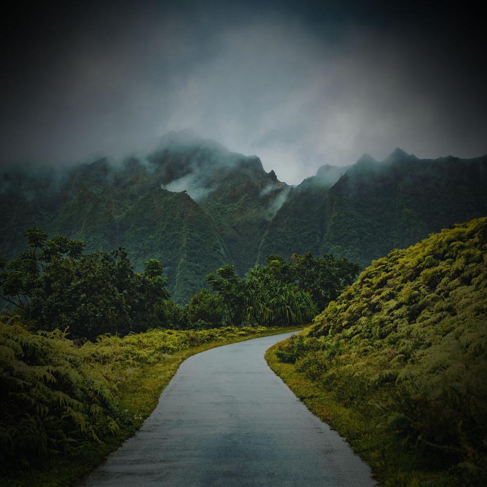 Rain and Nature Sounds for Mindfulness Meditation