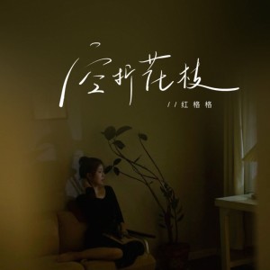 Album 空折花枝 oleh 红格格