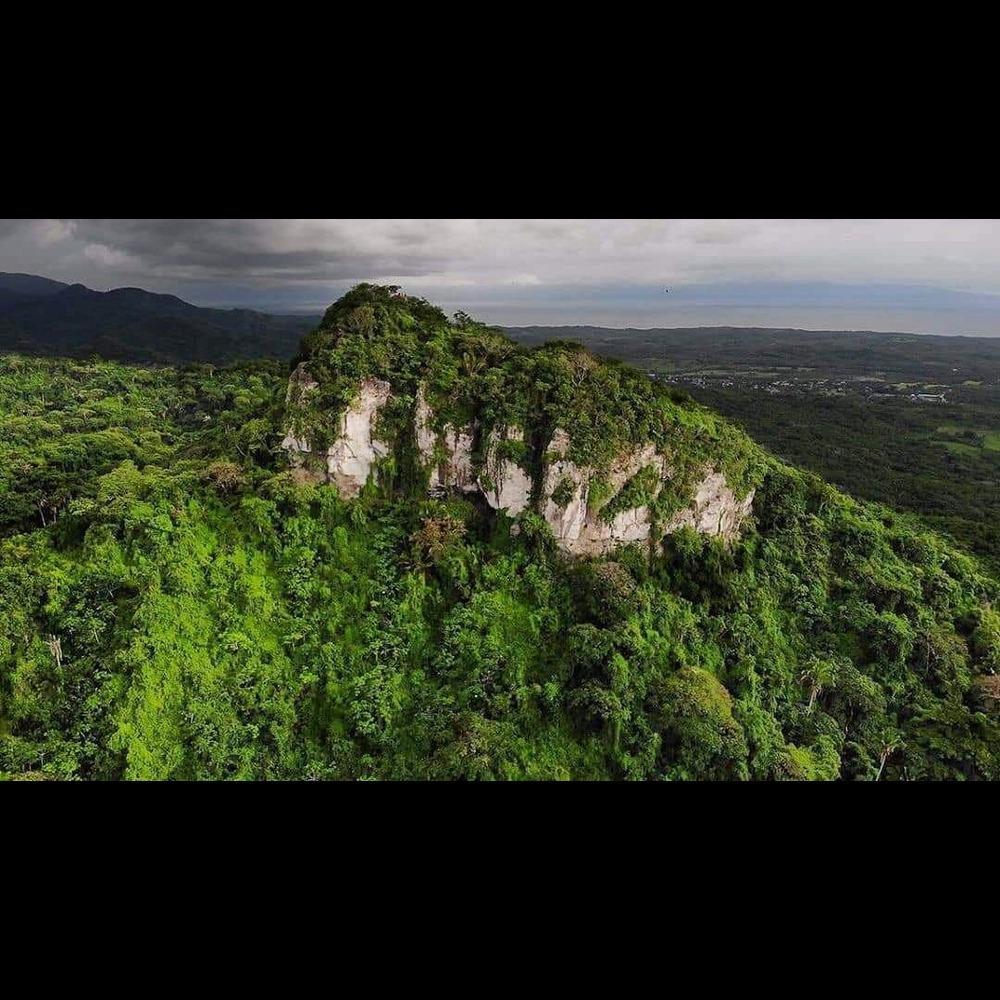 The Jungle (50, BG, RH) (Explicit)