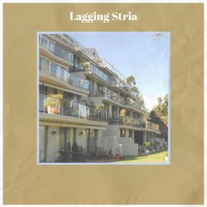 Album Lagging Stria from 