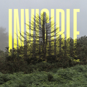 อัลบัม The Invisible EP ศิลปิน Olafur Arnalds