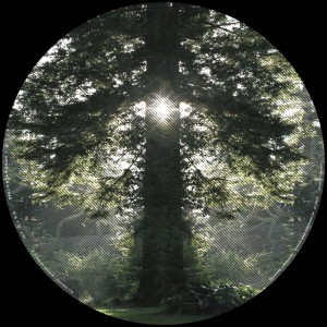 收听Anthony Rother的God歌词歌曲